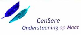 Professioneel mentorschap