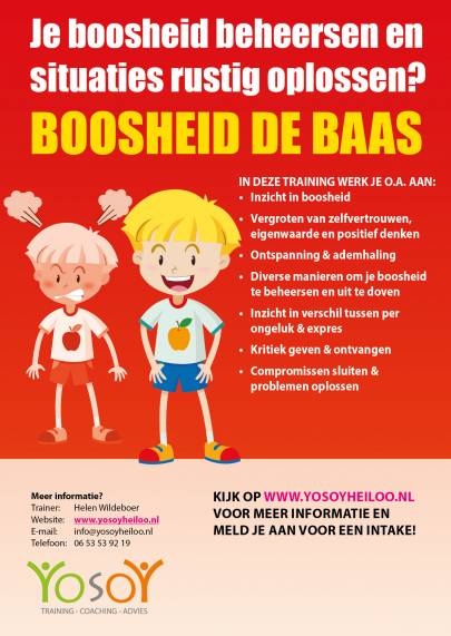 Flyer Boosheid de Baas