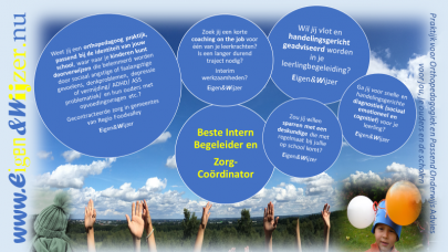 consultatie, observatie en handelingsadviezen aan docenten en leerkrachten en Intern begeleiders