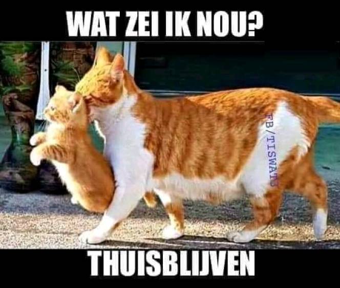 Meldpunt Hoge Pieptoon