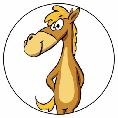 logo van feedback by horses