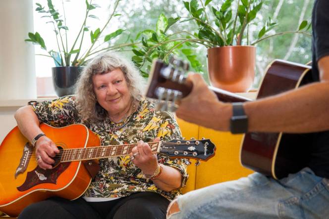 Individuele gitaarkes