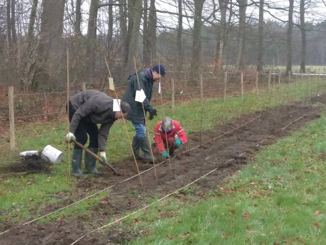 Deze heesterhaag is in 2020 aangelegd door vrijwilligers van tuinteam.