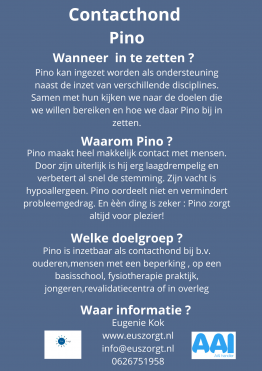 Flyer over het waarom en de meerwaarde van de inzet van contacthond Pino.