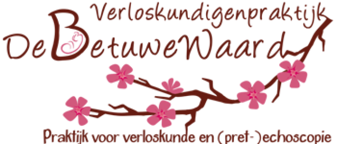 https://www.debetuwewaard.nl/