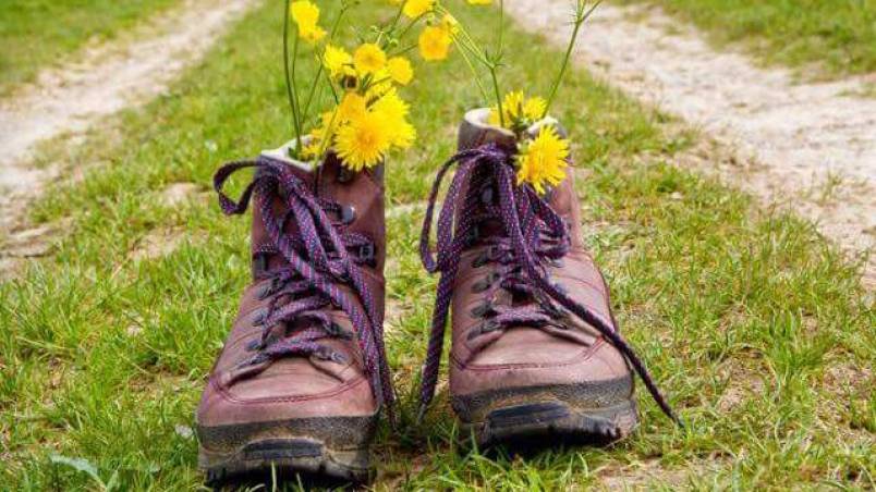 wandelgroep