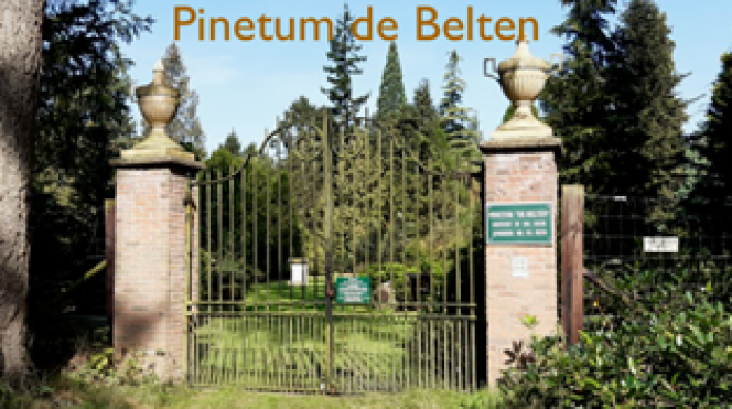 Pinetum de Belten foto nieuw