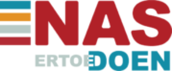 Logo NAS
