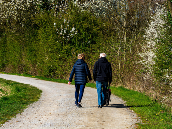 Wandelen