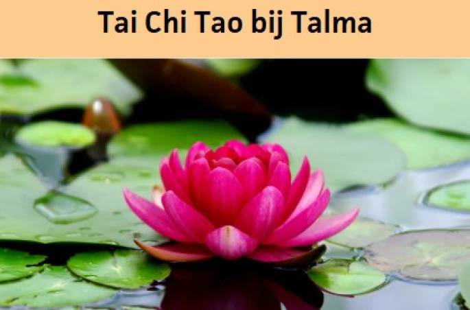 Tai Chi Tao bij Talma najaar 2026