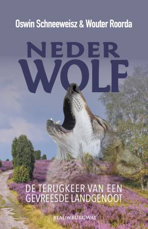 De terugkeer van een gevreesde landgenoot