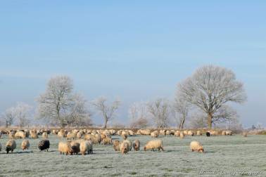 Foto: Hanneke Luning Fotografie