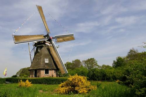 Molen de Zaandplatte