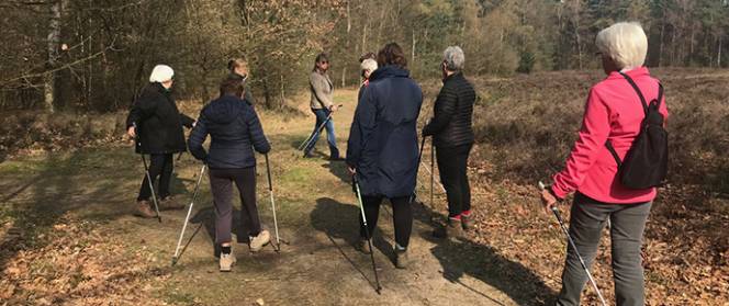 Nordic walking