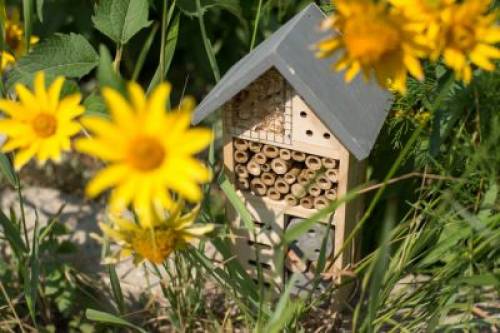 Biodiversiteit