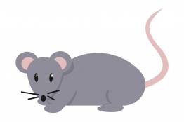 Decoratieve afbeelding: Een getekend plaatje van een muis