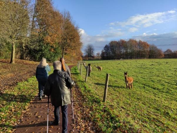 Decoratieve foto van wandelende mensen