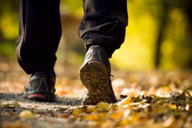 Actief Wandelen