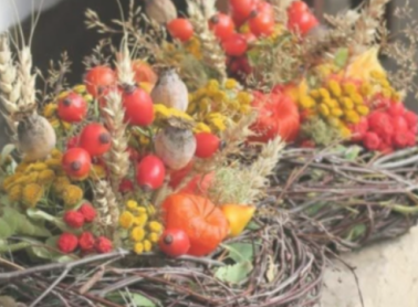 Cursus Herfst Tuintje!