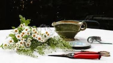 Workshop bloemschikken