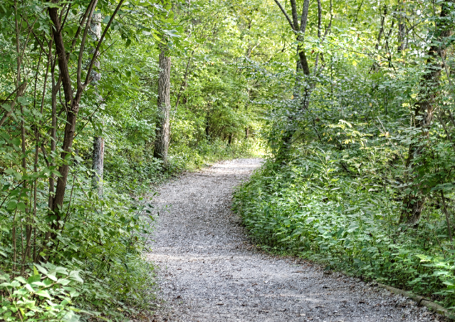 wandelen 3 km paadje